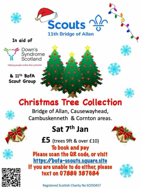 Scouts Christmas Tree Collection - Bridge of Allan Community Council